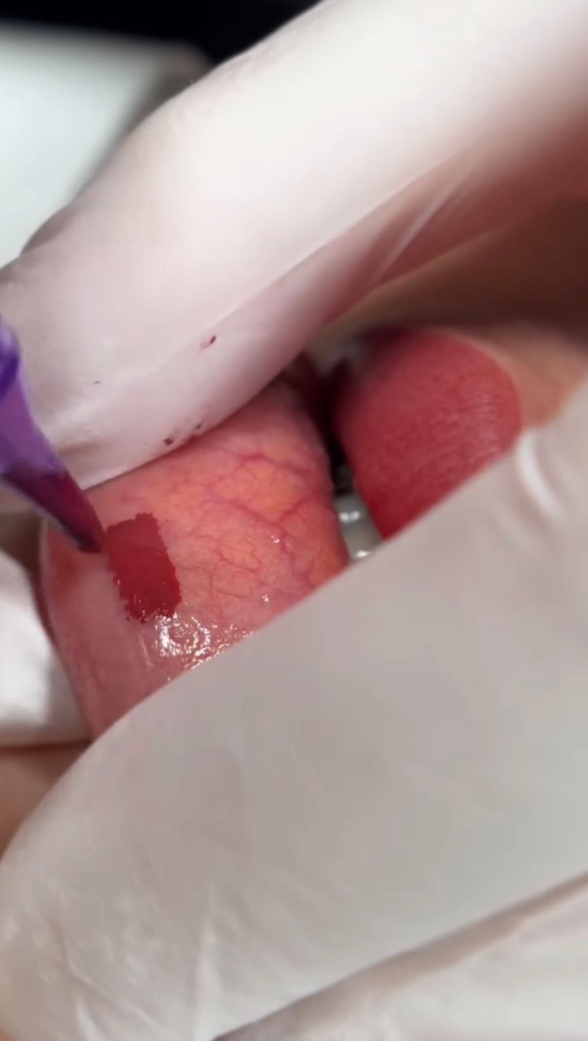 WhatsApp Image 2026-03-23 at 21.59.11