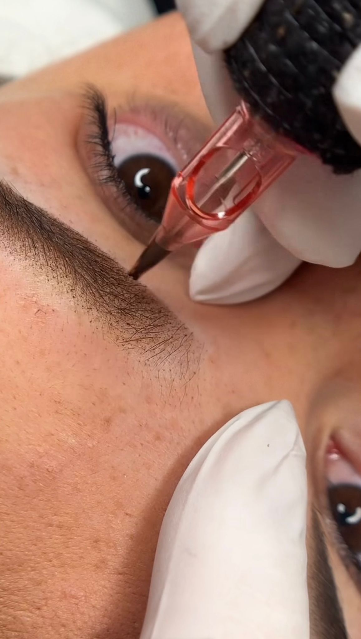 WhatsApp Image 2026-03-23 at 22.01.07